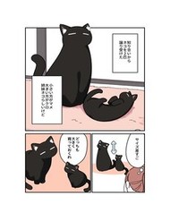 Kuroneko No Ohanashi đọc online